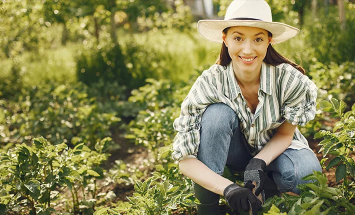 Blog Slide